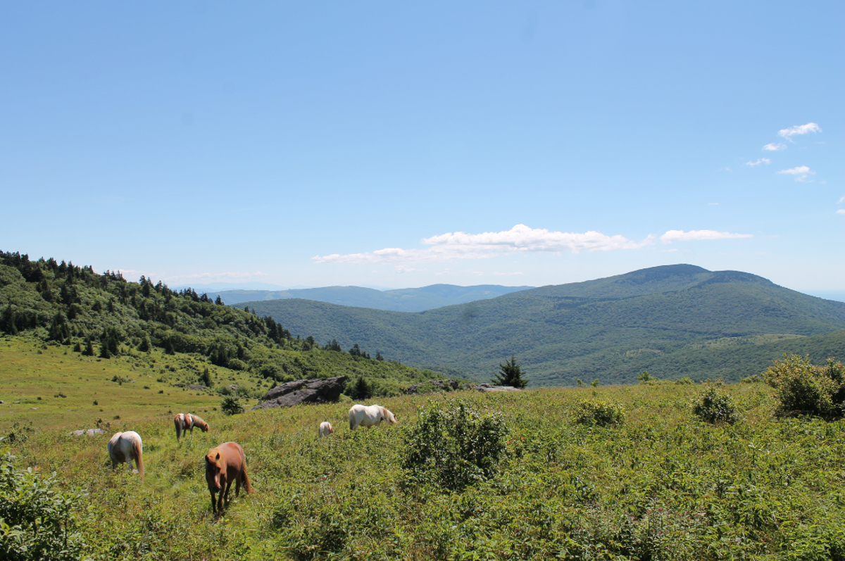 Pick 5! Get Outside and Celebrate National Great Outdoors Month This June!