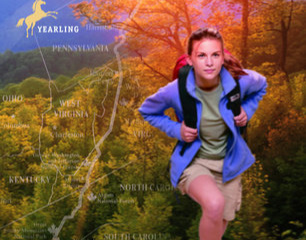 Radio Bristol Book Club: Halfway to the Sky