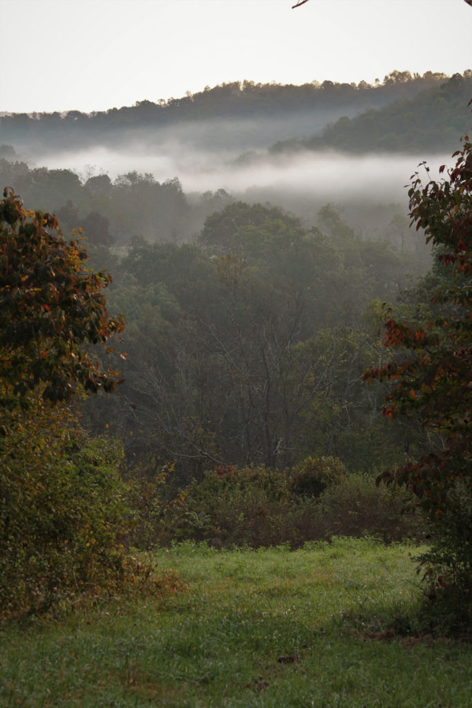 The hills of the Appalachians are seen in this image, full of green trees and layers of fog.