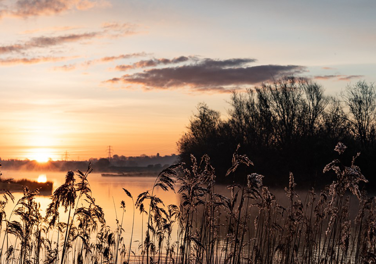 Pick 5: Songs to Celebrate 50 Years of April’s Earth Day