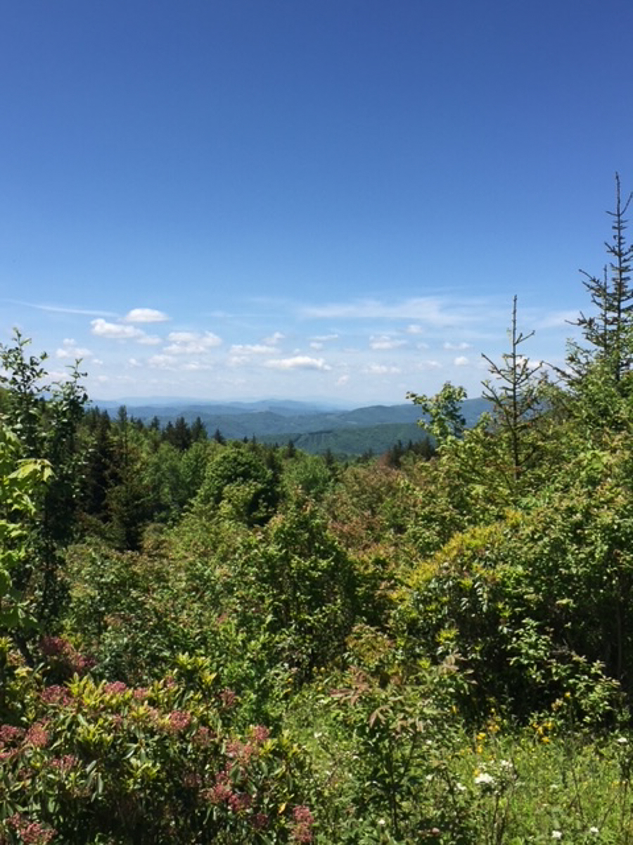 Radio Bristol Book Club: Sharyn McCrumb’s Appalachia