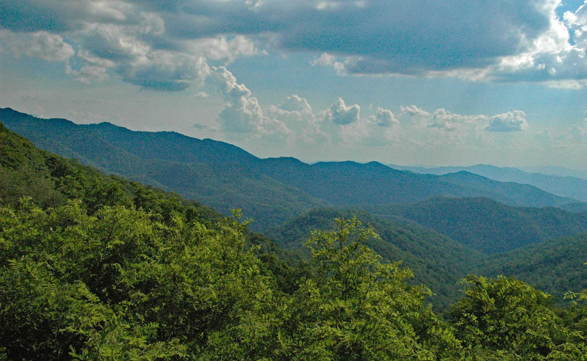Radio Bristol Book Club: Voices Worth the Listening: Three Women in Appalachia