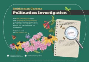Pollination Investigation